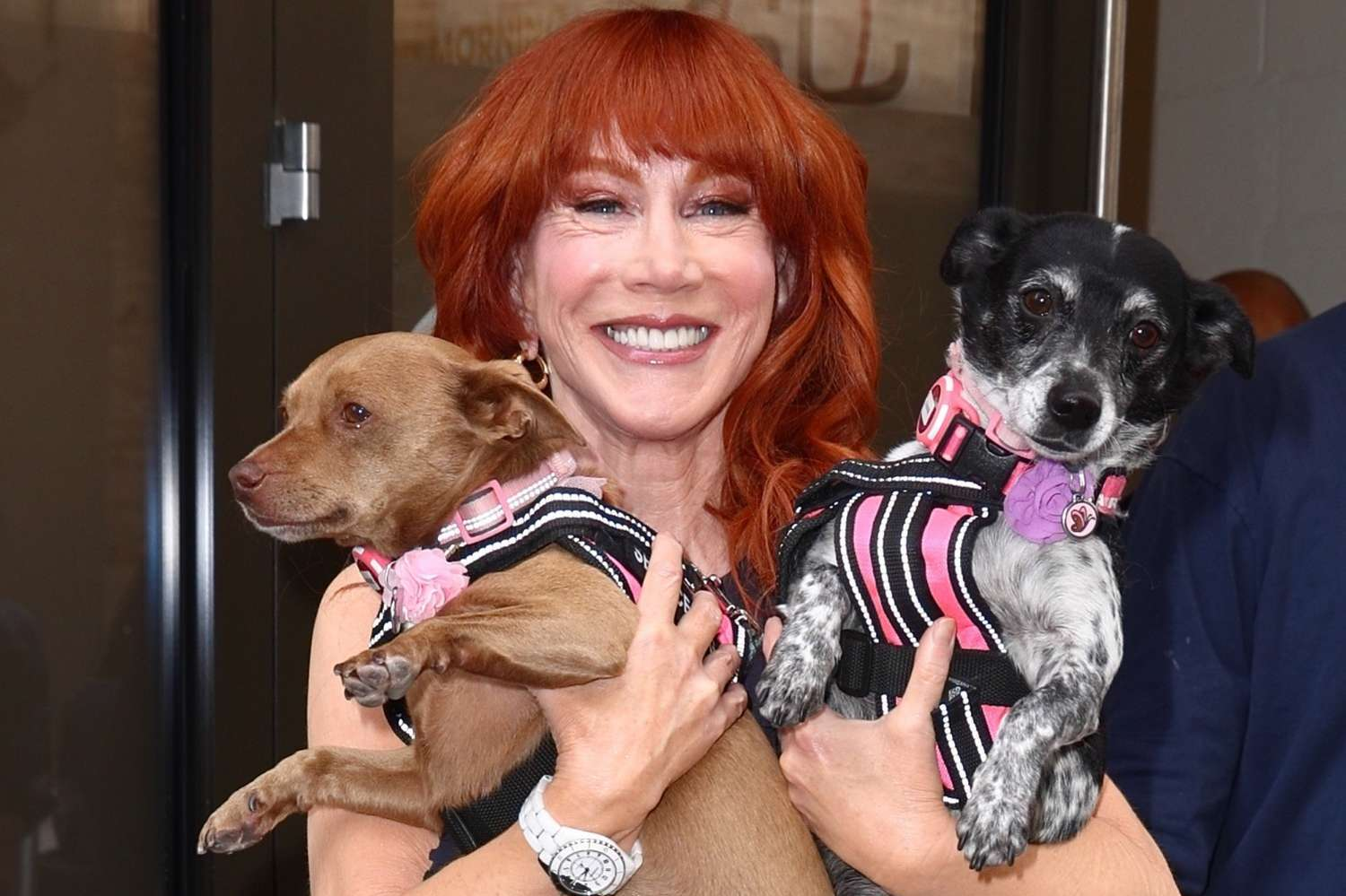 You Won’t Believe Which Stars Stepped Out This Week — From Pup Cuddles to Cannes Glam